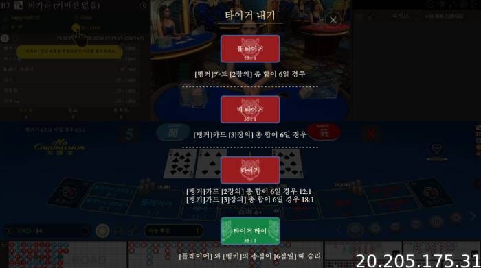 플레이어 문